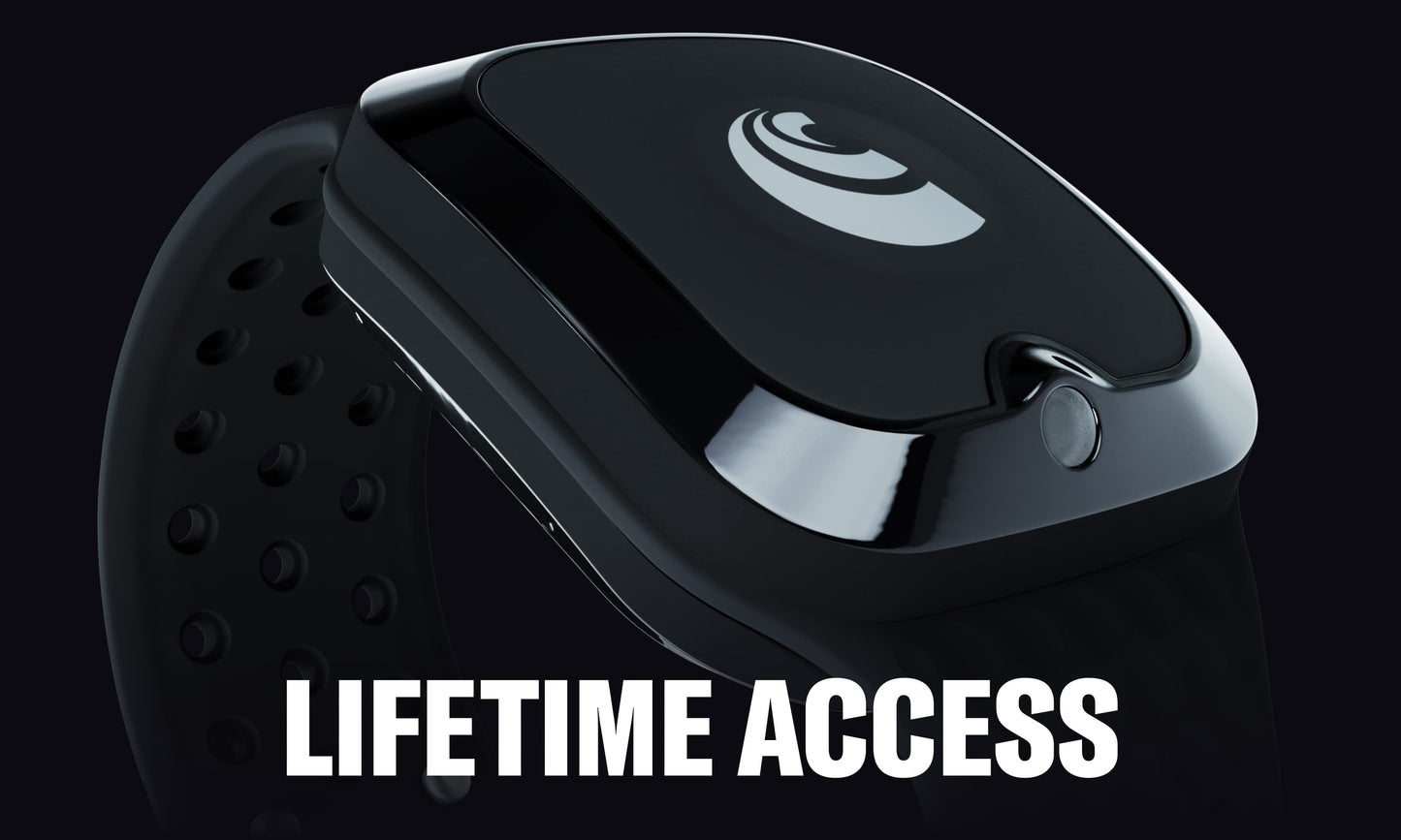 Upgrade to Lifetime Access